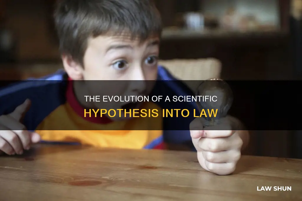 how does a hypothesis become a law