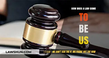 Understanding the Journey: How a Law is Created in the US