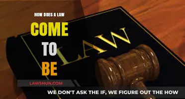 From Idea to Statute: The Journey of a Law's Creation