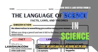 Laws vs. Theories: Understanding Science's Foundational Frameworks
