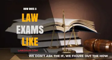 Navigating the Complexities of Law Exams: A Comprehensive Guide