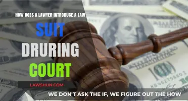 Mastering the Art of Filing a Lawsuit in Court: A Lawyer's Guide