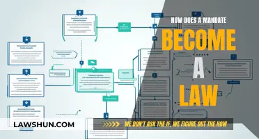 The Mandate's Journey: Understanding How Laws Are Made