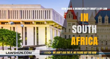 Drafting Municipal By-Laws in South Africa: A Step-by-Step Guide