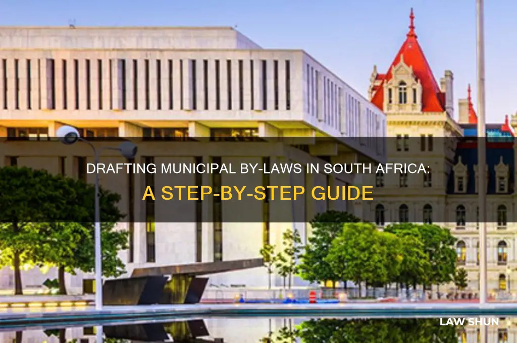how does a municipality draft a by-law in south africa