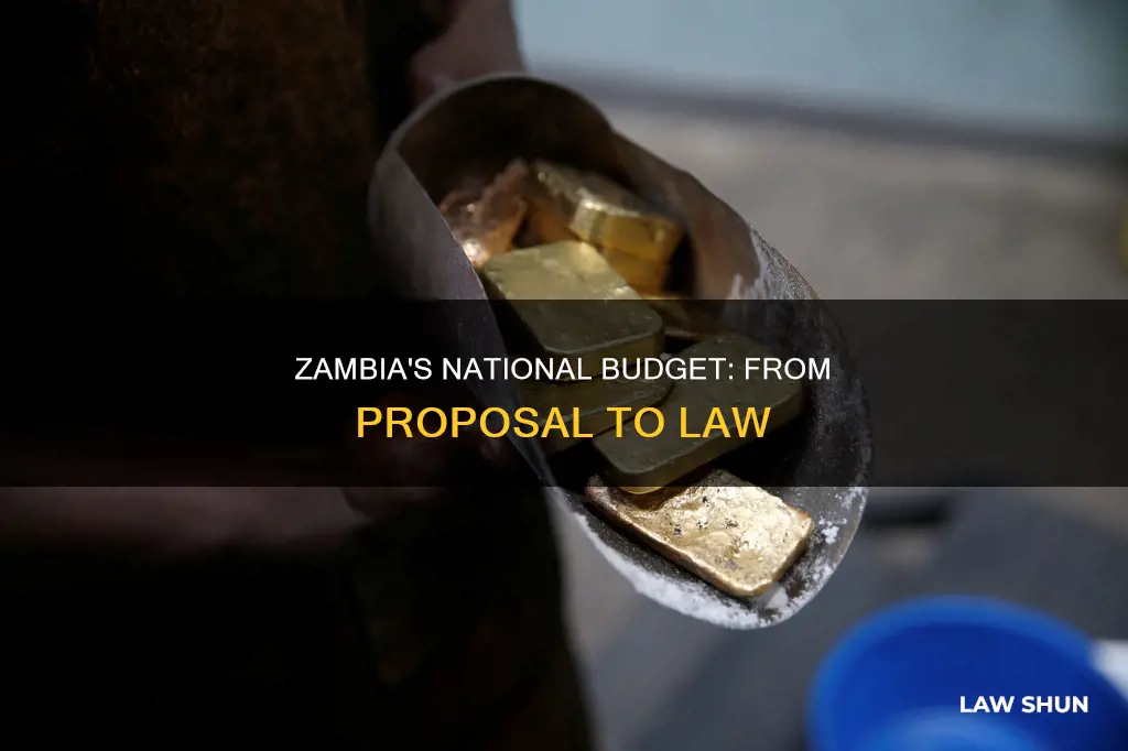 how does a national budget become law in zambia