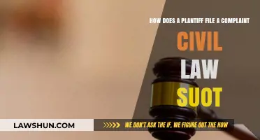 Filing a Civil Lawsuit: Step-by-Step Guide for Plaintiffs to File Complaints