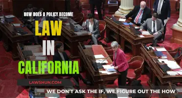 California's Policy-to-Law Process: Understanding the System