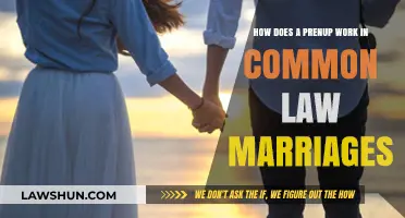 Prenups and Common Law: Understanding the Basics