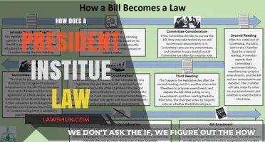 The Legislative Process: How Presidents Enact Laws