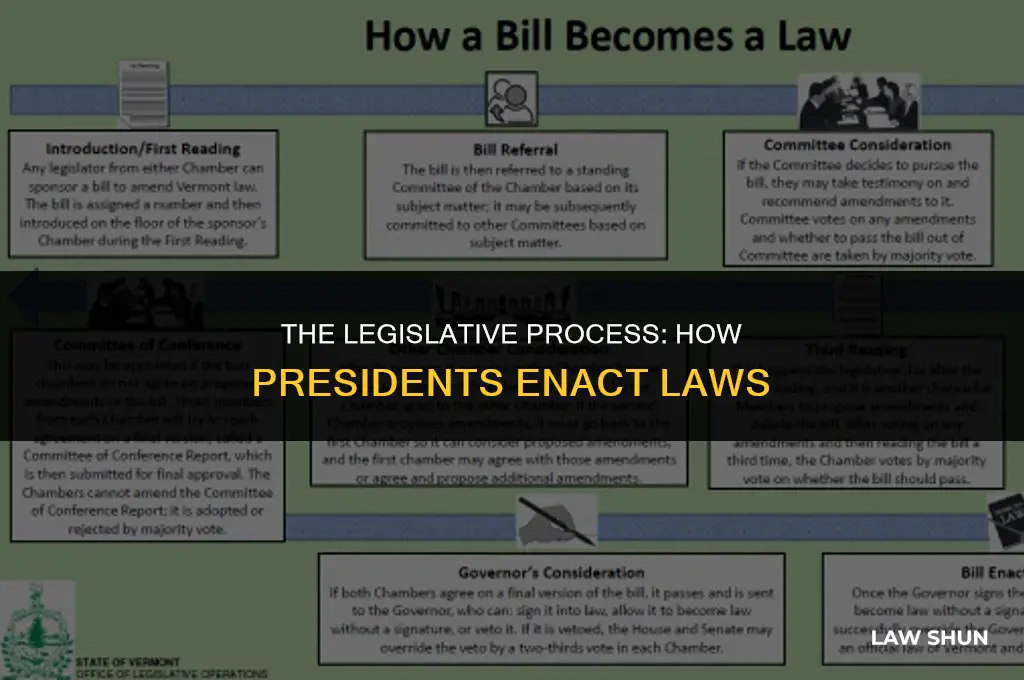 how does a president institue law