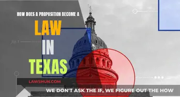 Understanding Texas' Lawmaking: From Proposition to Enactment