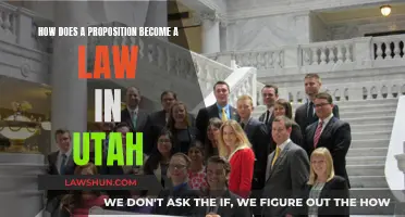 Utah's Path to Lawmaking