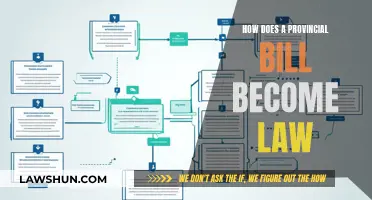 The Journey of Provincial Bills: Laws in the Making