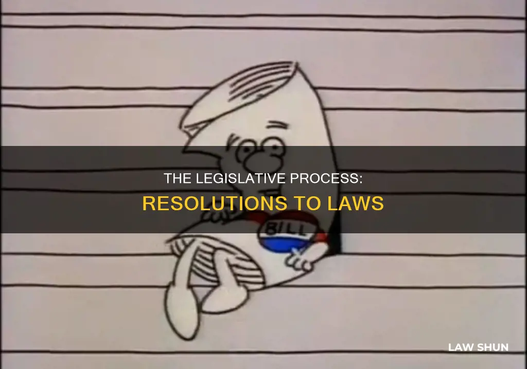 how does a resolution become a law