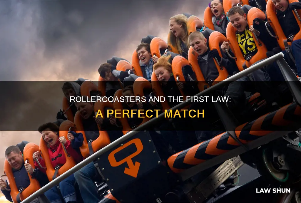 how does a rollercoaster relate to first law
