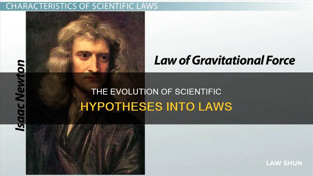 how does a scientific hypoyhesis become a law