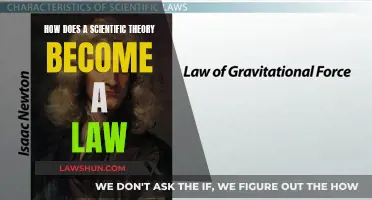 The Evolution of Scientific Theory to Law