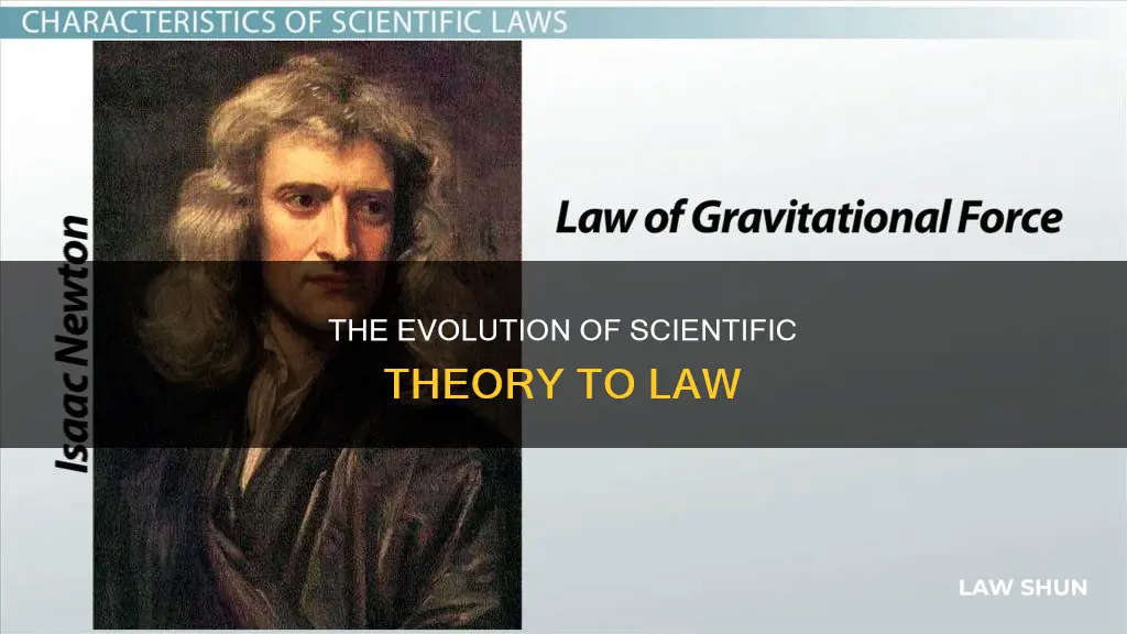 how does a scientific theory become a law