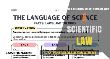 Theories vs. Laws: Understanding Science's Frameworks and Their Roles