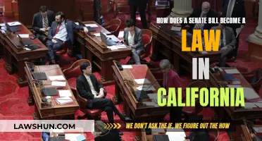 California's Senate Bills: Laws in the Making