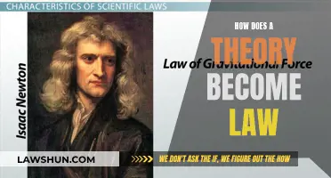 Theoretical Evolution: Law's Journey