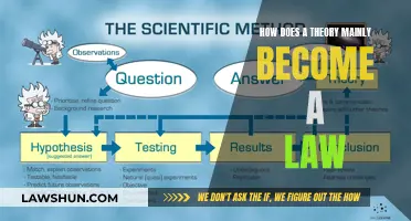 Theoretical Evolution: From Idea to Law