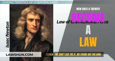 The Long Road: Theory to Law