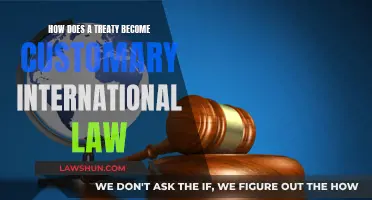 Customary International Law: Treaties and Their Evolution