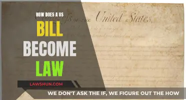 The US Legislative Process: How Bills Become Laws