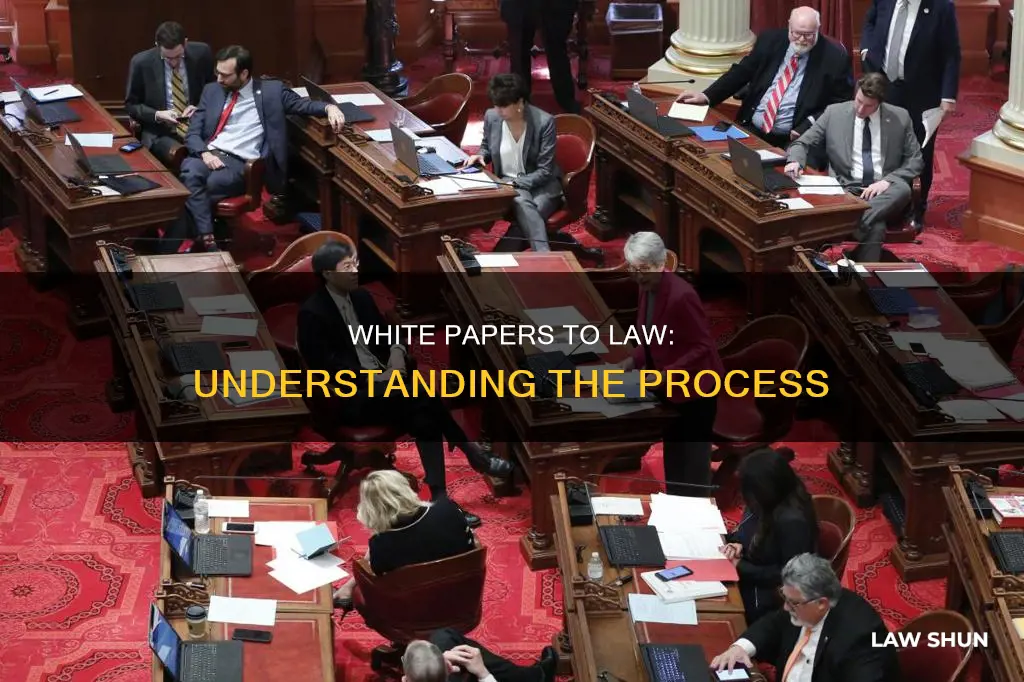 how does a white paper become law