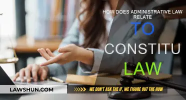 Administrative Law and Constitutional Law: Interplay and Impact