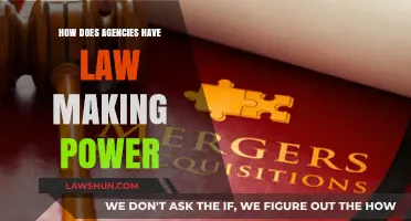 How Agencies Gain Law-Making Authority: Understanding Regulatory Power Dynamics