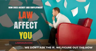 Understanding Agency and Employment Law: How It Impacts Your Rights and Responsibilities
