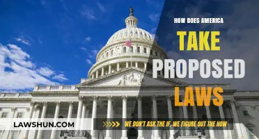 Navigating the Legislative Labyrinth: How Proposed Laws Shape America