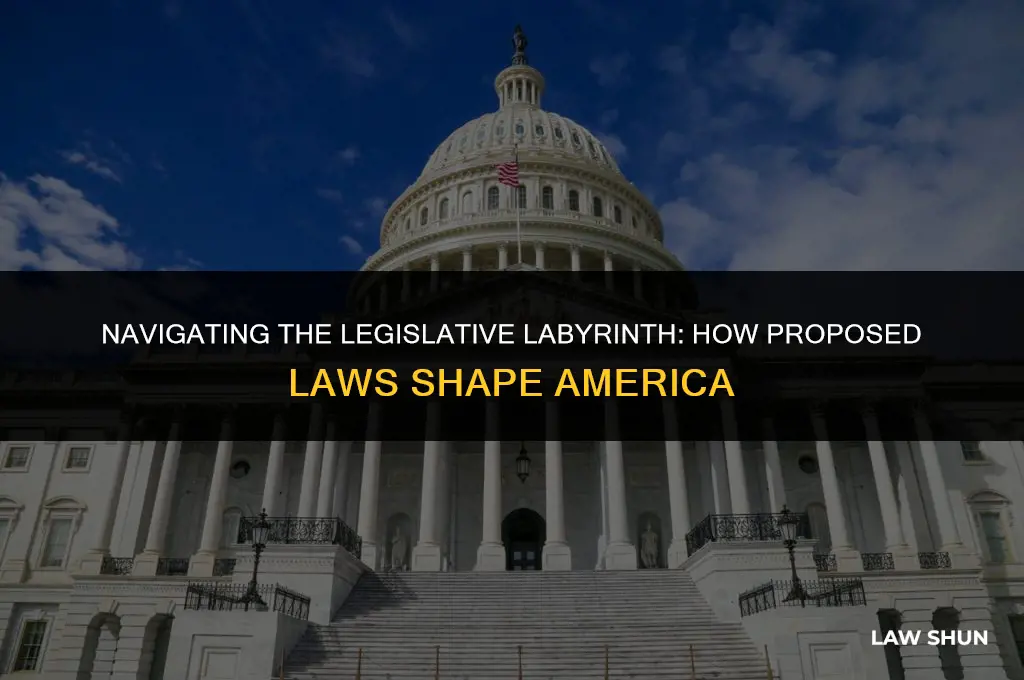 how does america take proposed laws