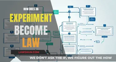 The Experiment-to-Law Journey: Understanding the Process