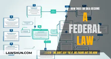 Ideas to Federal Laws: The Complete Process