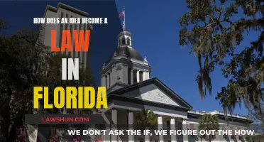 Ideas to Laws: Florida's Legislative Journey