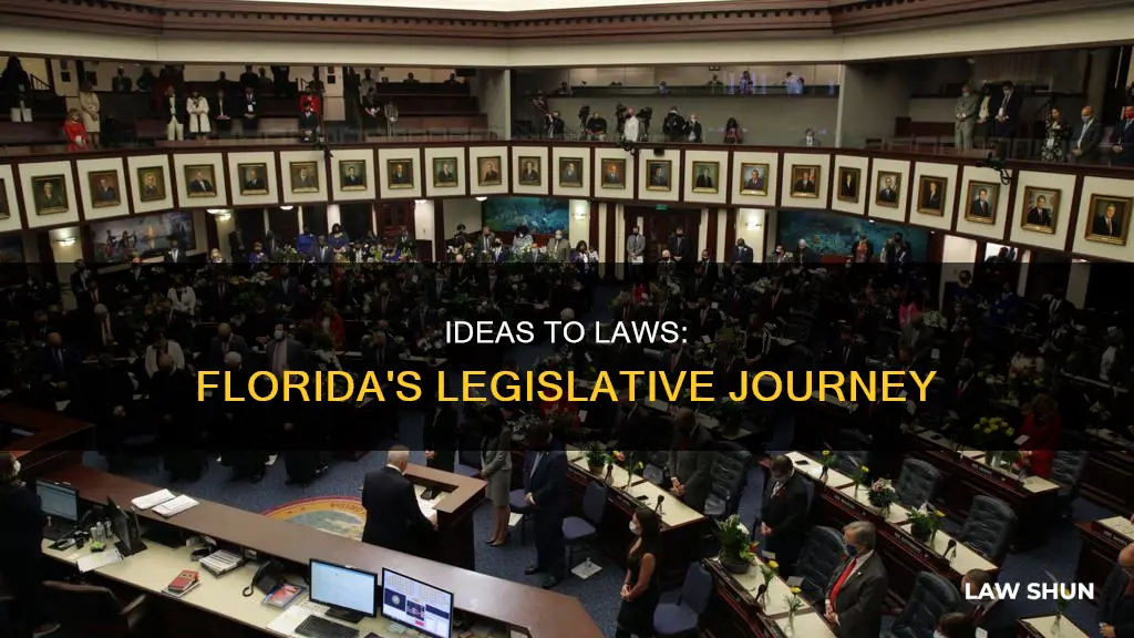 how does an idea become a law in florida