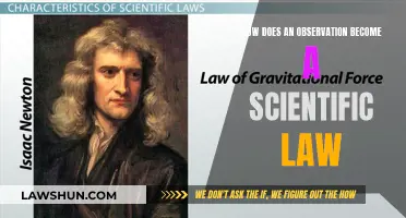 Observations to Laws: The Scientific Journey