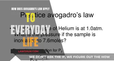 Avogadro's Law: Its Everyday Applications and Relevance