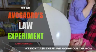 Exploring Avogadro's Law: A Simple Experiment Reveals Gas Behavior Secrets
