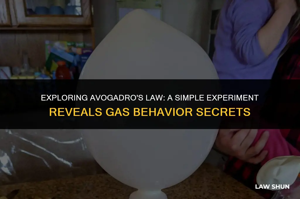how does avogadro