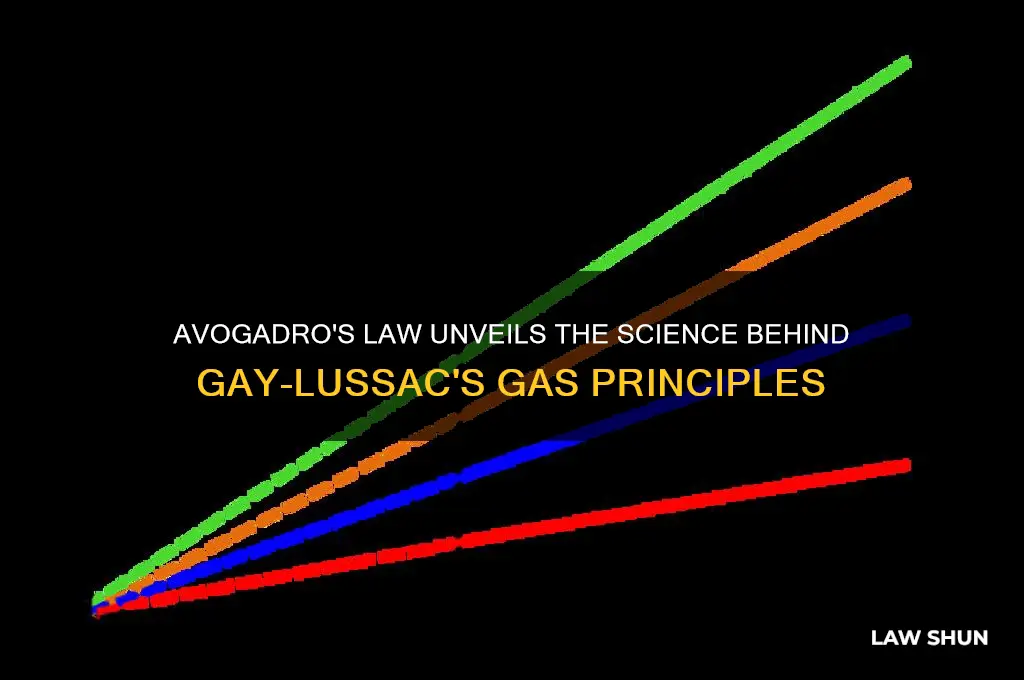 how does avogadro
