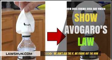 Baking Soda and Vinegar Reaction: Demonstrating Avogadro's Law in Action