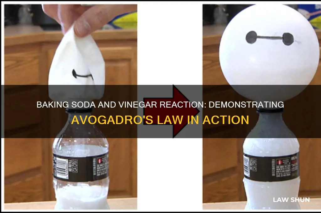 how does baking soda and vinger show avogaro