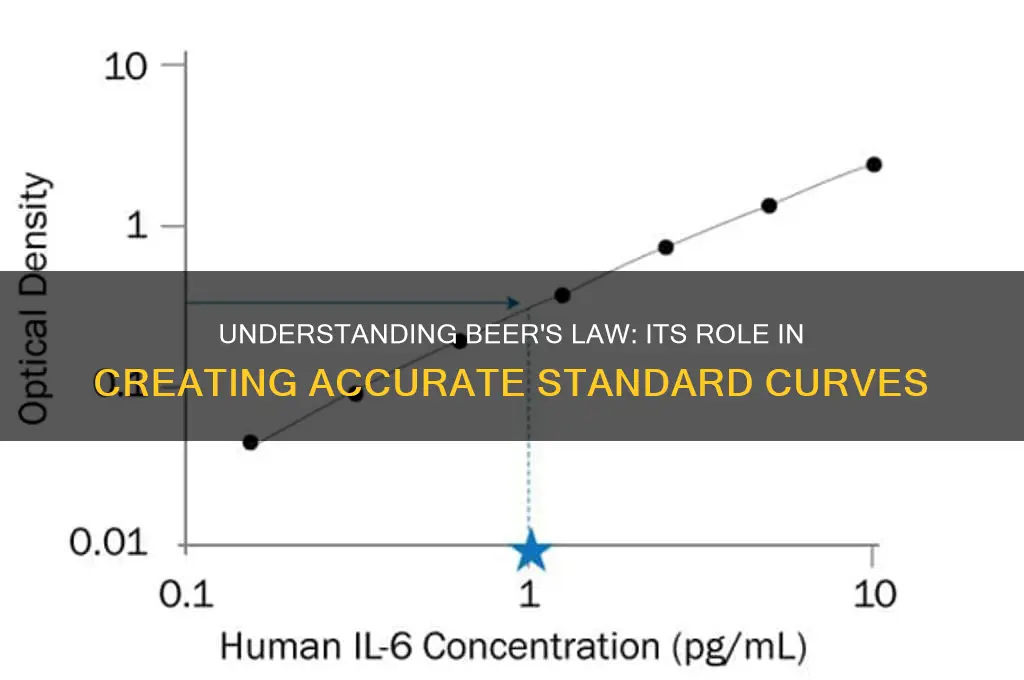 how does beer