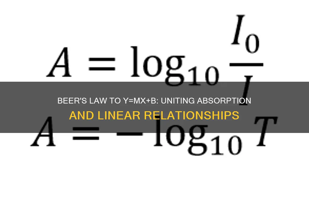 how does beer
