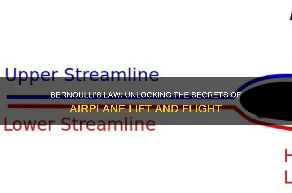 how does bernoulli